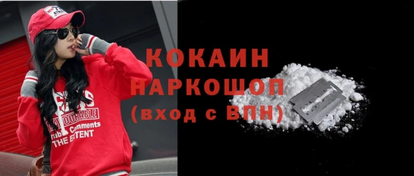 тгк Бородино