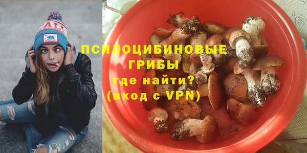экстази Михайлов
