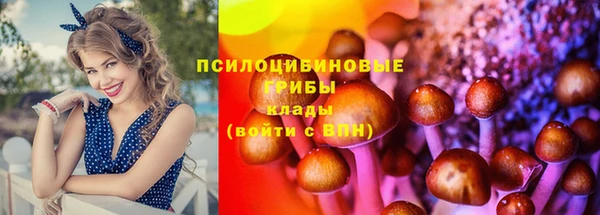 ГАЛЛЮЦИНОГЕННЫЕ ГРИБЫ Верея