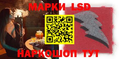 стаф Бузулук