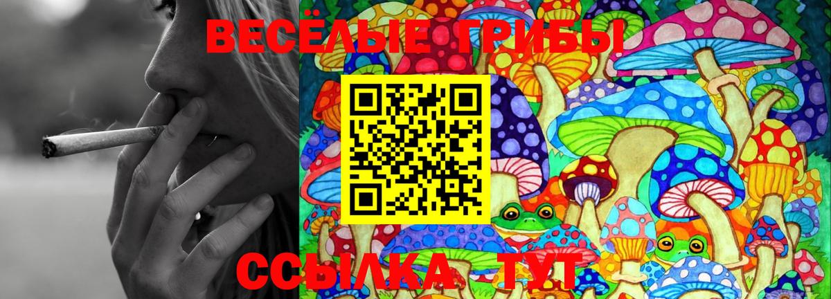 Псилоцибиновые грибы Psilocybe  Вход с VPN  Саки  Галлюциногенные грибы прущие грибы 