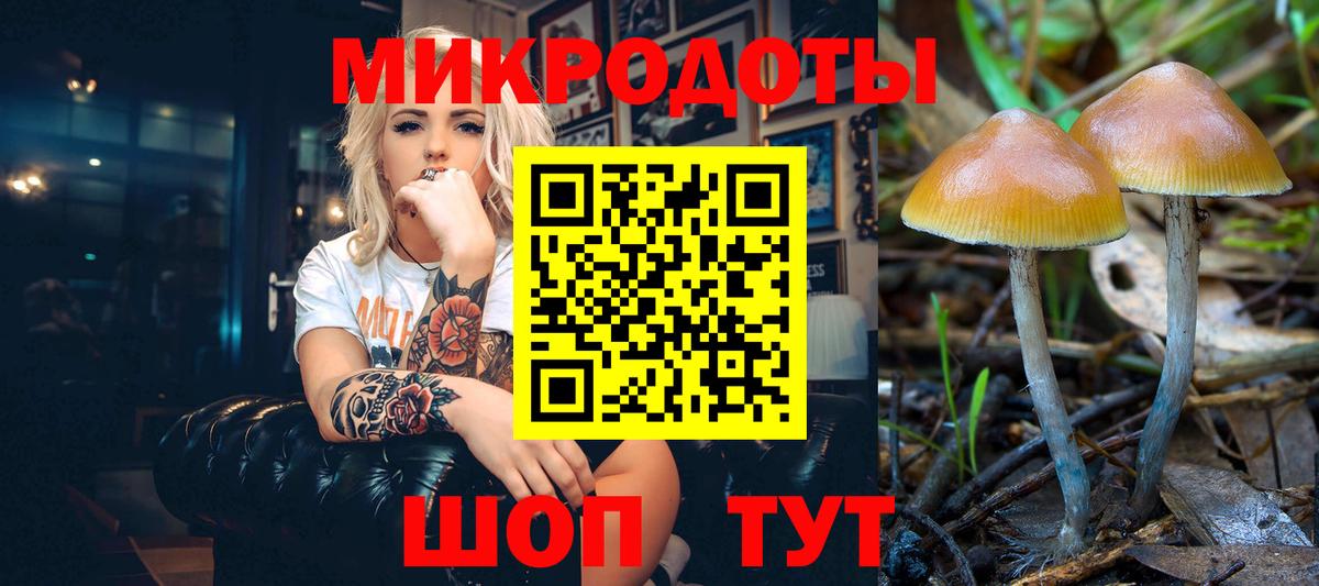 Галлюциногенные грибы Cubensis Саки